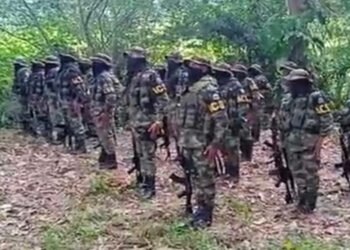 Paramilitares de la Sierra acusan a Fuerza Ciudadana de buscar su respaldo político