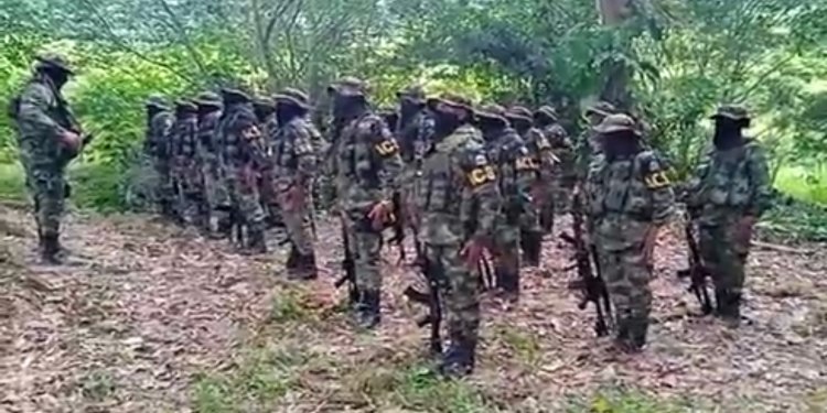 Paramilitares de la Sierra acusan a Fuerza Ciudadana de buscar su respaldo político