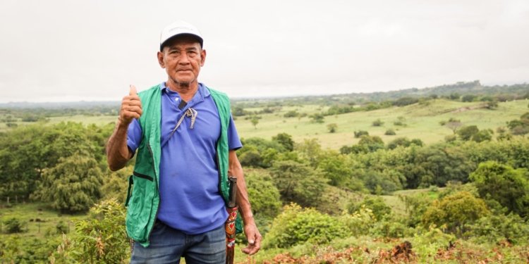 Cortolima restaura predios de cinco resguardos indígenas 