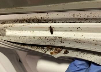 Secretaría de Salud de Ibagué cerró cinco establecimientos de comercio