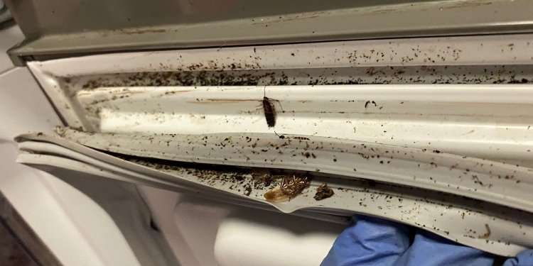 Secretaría de Salud de Ibagué cerró cinco establecimientos de comercio