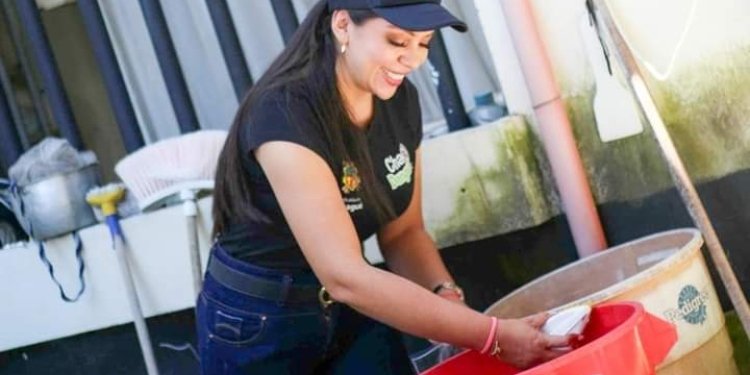 Casos de dengue siguen en ascenso en Ibagué 