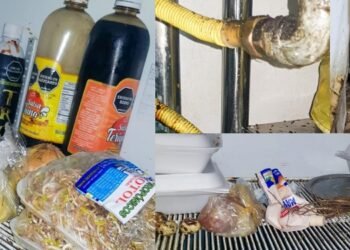 Un nuevo restaurante cerrado por presencia de plagas en Ibagué