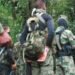 Disidencias de la Farc buscan crear una escuela de formación en el sur del Tolima