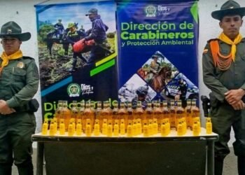 Policía de Ibagué incautó botellas de licor sin estampillas en bodega de encomiendas