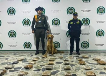 ’Jeffry’ halló 23 kilos de marihuana en la terminal de transportes de Ibagué