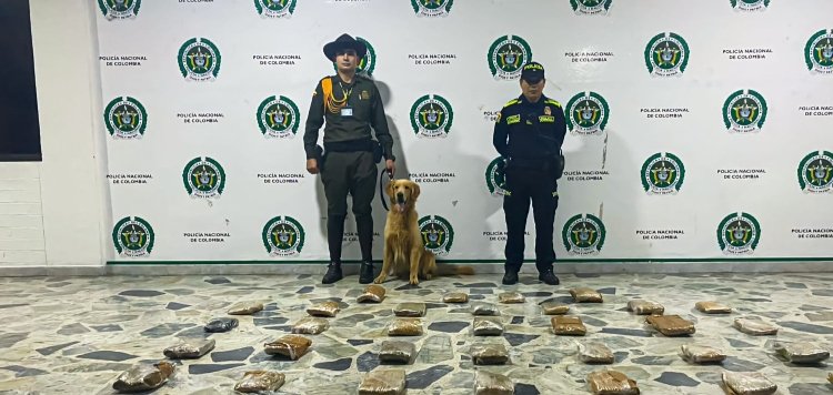 ’Jeffry’ halló 23 kilos de marihuana en la terminal de transportes de Ibagué