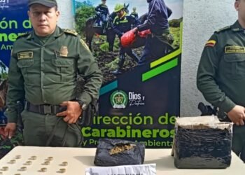 Canino ‘Jeffry’ olfateó encomiendas con estupefacientes 