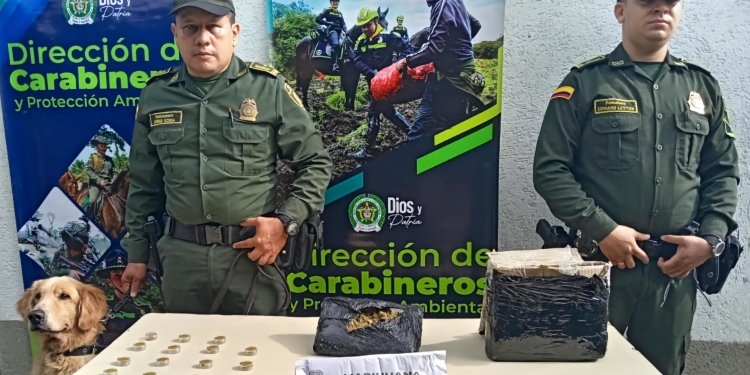 Canino ‘Jeffry’ olfateó encomiendas con estupefacientes 
