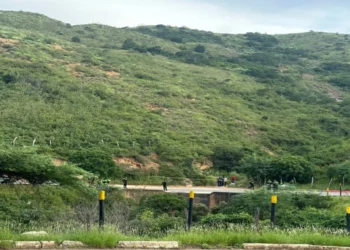 Masacre en la frontera con Venezuela: Cuatro muertos en una trocha cerca de Cúcuta