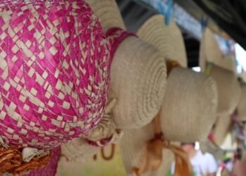 Conozca los artesanos seleccionados para el Día del Sombrero Tolimense