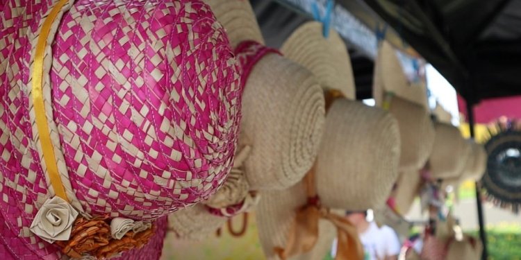 Conozca los artesanos seleccionados para el Día del Sombrero Tolimense