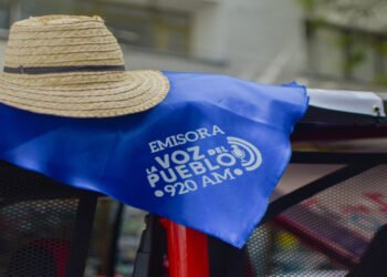 Sombrero Tolimense: Un Emblema de Tradición