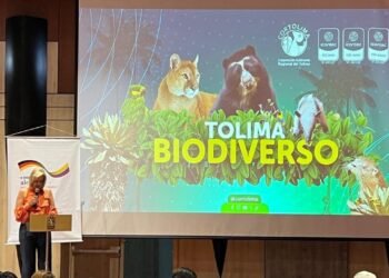 Las CAR Exigen Mayor Inclusión en la COP16: Olga Lucía Alfonso a la Ministra de Ambiente