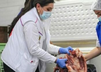 Alerta amarilla hospitalaria se mantiene en la ciudad de Ibagué frente a la llegada de las festividades folclóricas