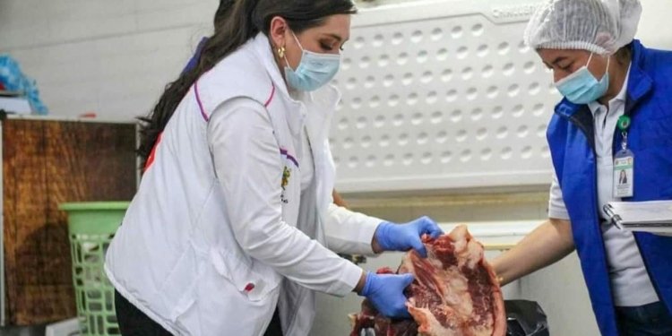 Alerta amarilla hospitalaria se mantiene en la ciudad de Ibagué frente a la llegada de las festividades folclóricas