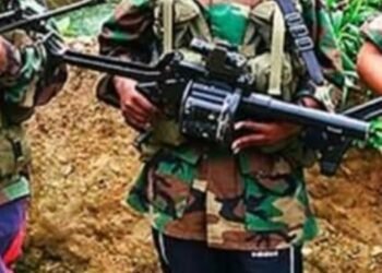 ‘Clan del Golfo’ quiere entrar en el Tolima por Venadillo