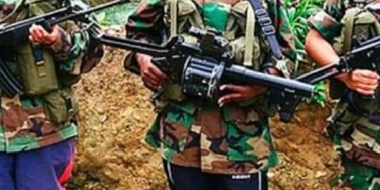 ‘Clan del Golfo’ quiere entrar en el Tolima por Venadillo