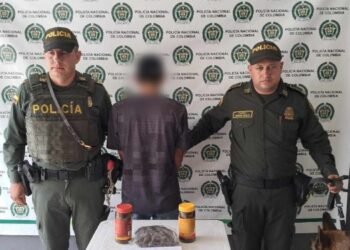 4 kg de marihuana fueron incautados en zona rural de El Espinal 