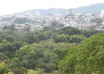Ibagué sede del encuentro regional del Tolima Grande camino a la COP16