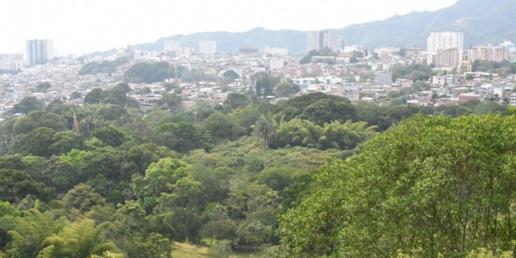 Ibagué sede del encuentro regional del Tolima Grande camino a la COP16