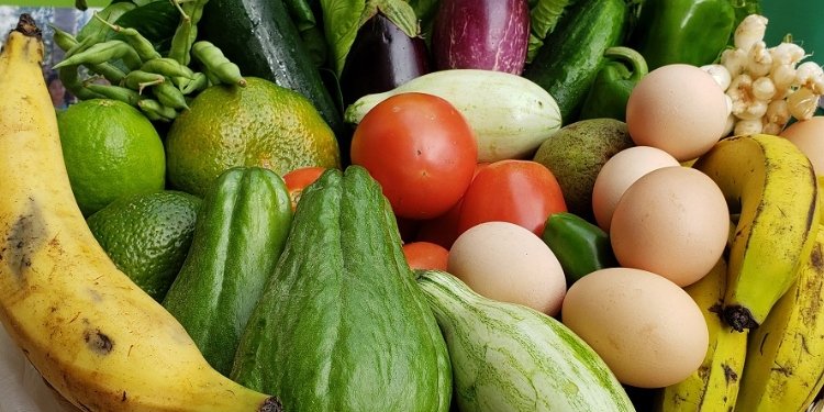 La canasta campesina se venderá a $50.000 con 17 productos directamente de la zona rural de Ibagué