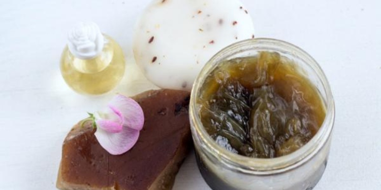 ¿Sabe qué es el jabón potásico?: Ayuda a controlar plagas en plantas