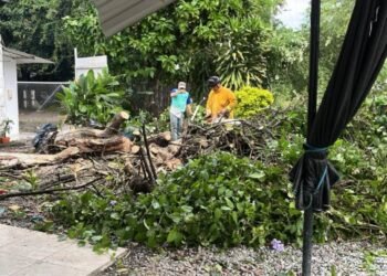 Cerca de 80 familias afectadas dejaron lluvias en Venadillo