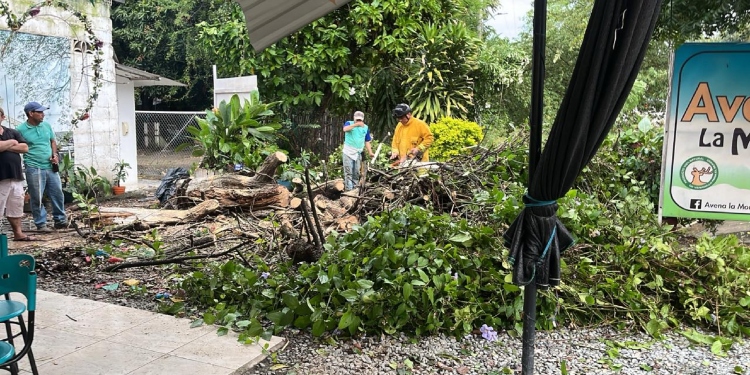 Cerca de 80 familias afectadas dejaron lluvias en Venadillo