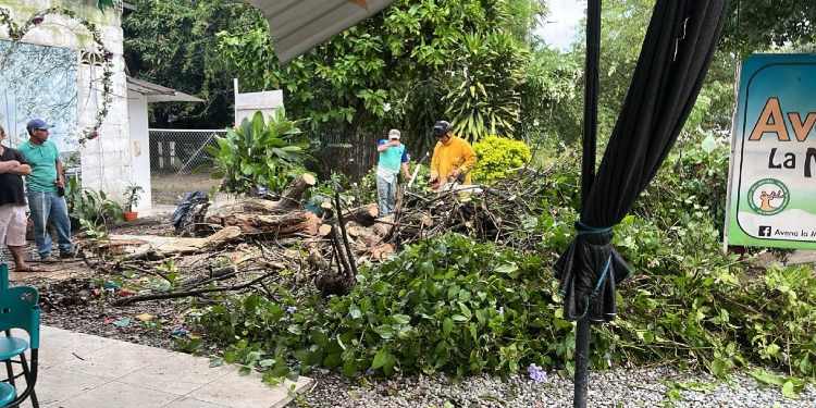 Fuertes afectaciones por lluvias se presentan en Venadillo