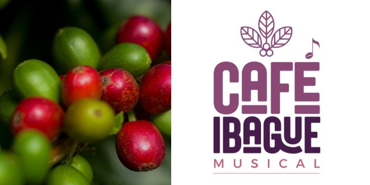 La Alcaldía de Ibagué registró su marca propia de café para la ciudad