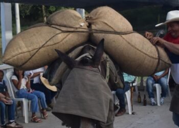 En la vereda El Tambo, la Alcaldía celebró con una fiesta el Día del Campesino