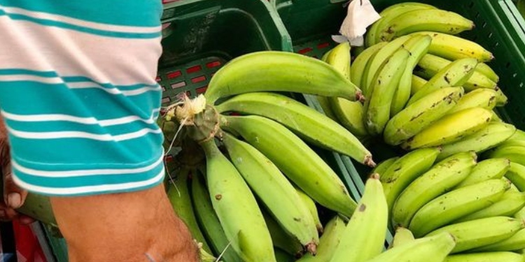 Secretaría de Desarrollo Agropecuario y rural doblaron el número de Canasta Campesinas para vender