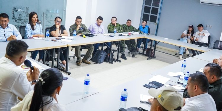 Autoridades reforzarán seguridad en el sur del Tolima por levantamiento del César fuego anunciado por el gobierno