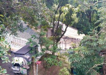 Según la Administración Municipal, no ha otorgado permiso para evento de asistencia masiva en la Concha Acústica