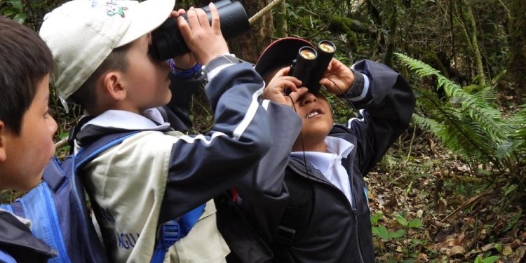 Avistamientos de aves con la Expedición Arcoíris todo un éxito