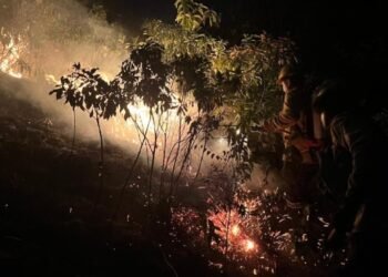 Corto circuito provoca incendio forestal en Melgar 