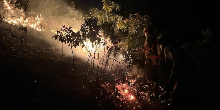 Corto circuito provoca incendio forestal en Melgar 