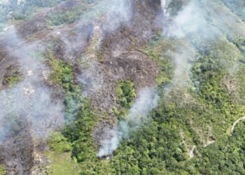 Incendio forestal en Melgar consumió 45 hectáreas de vegetación 