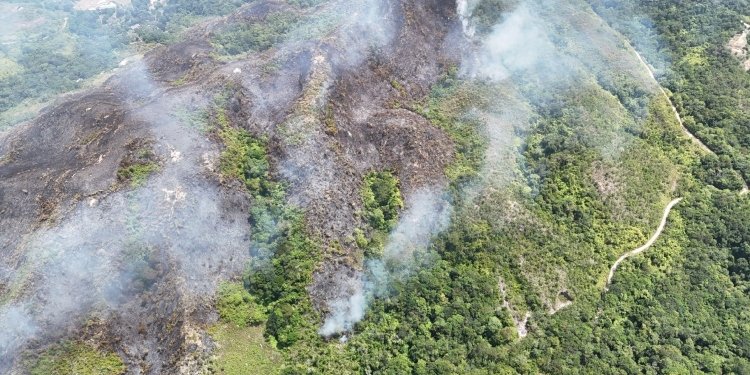 Incendio forestal en Melgar consumió 45 hectáreas de vegetación 
