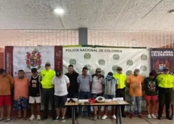 Los Pintados y los Osos organizaciones desmanteladas en operativos del Ejército en el Tolima