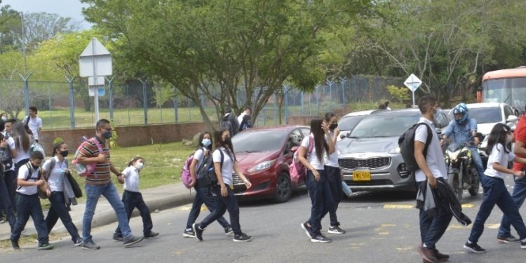 Dos puentes peatonales para Ibagué, son las obras que tiene proyectadas la Secretaría de Infraestructura