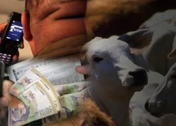 Gremio ganadero aplaude llegada de grupo antiextorsión al Tolima
