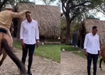 Yerry Mina en polémica por vídeo donde Álvaro Uribe Vélez montando en un caballo lo rodea