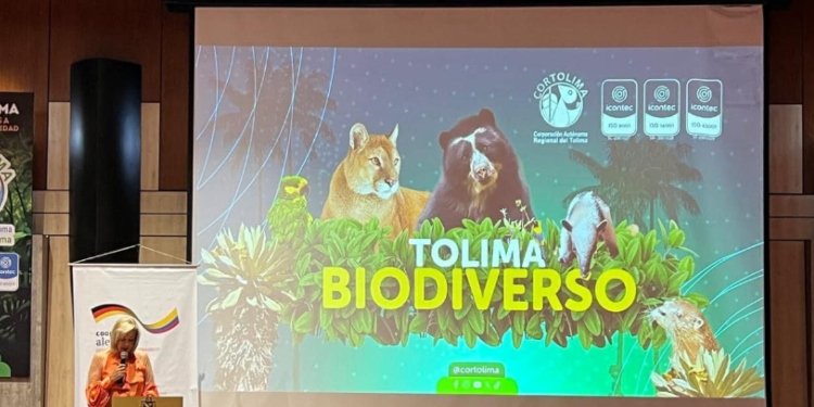 Directora de Cortolima hizo contundente llamado a MinAmbiente “Las CAR nos sentimos alejadas de la COP16