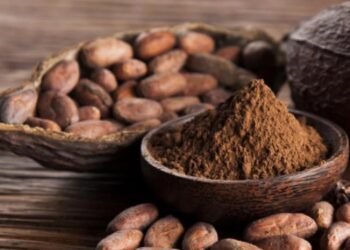 Nuevo plazo para inscripción a concursos regionales del Cacao en el Tolima