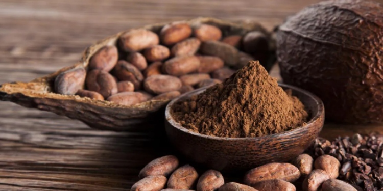 Nuevo plazo para inscripción a concursos regionales del Cacao en el Tolima