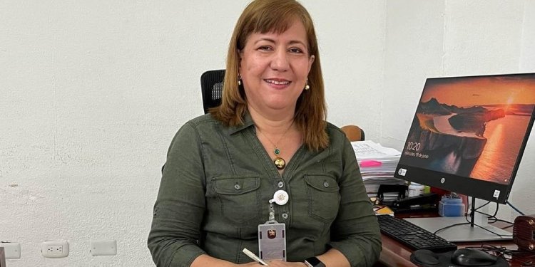 $49.139 millones: el recaudo del impuesto vehicular en el Tolima