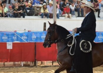 Éxito en Feria Equina en Chaparral 