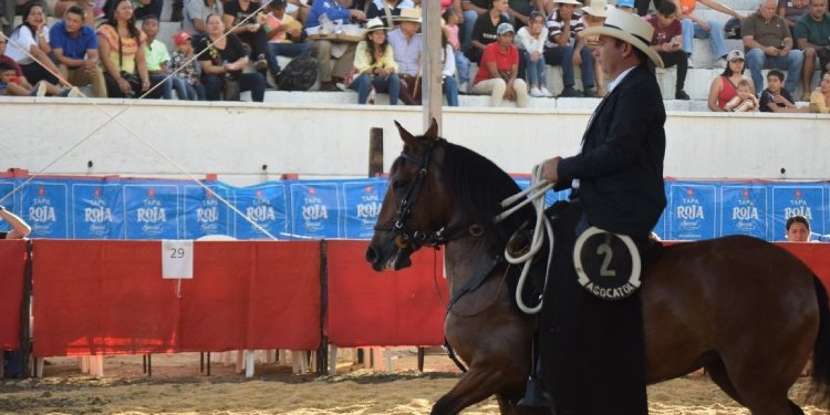 Éxito en Feria Equina en Chaparral